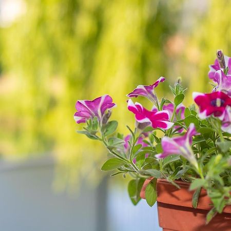 Villa Verde 모스타르 외부 사진